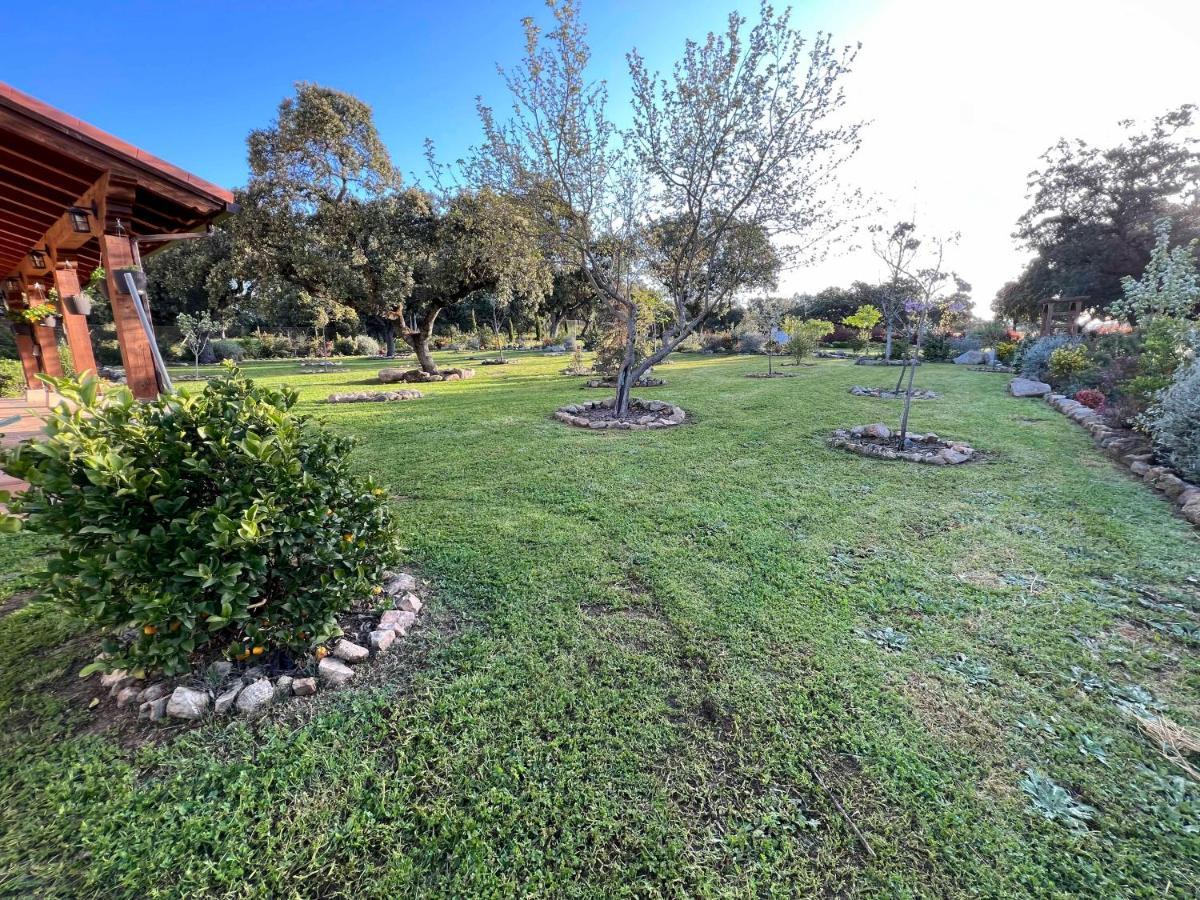 הוילה La Iglesuela La Encina Guapa Casa Rural 20,000M2 De Intimidad מראה חיצוני תמונה